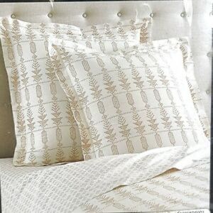 DwellStudio NWT Pair of Euro Shams
